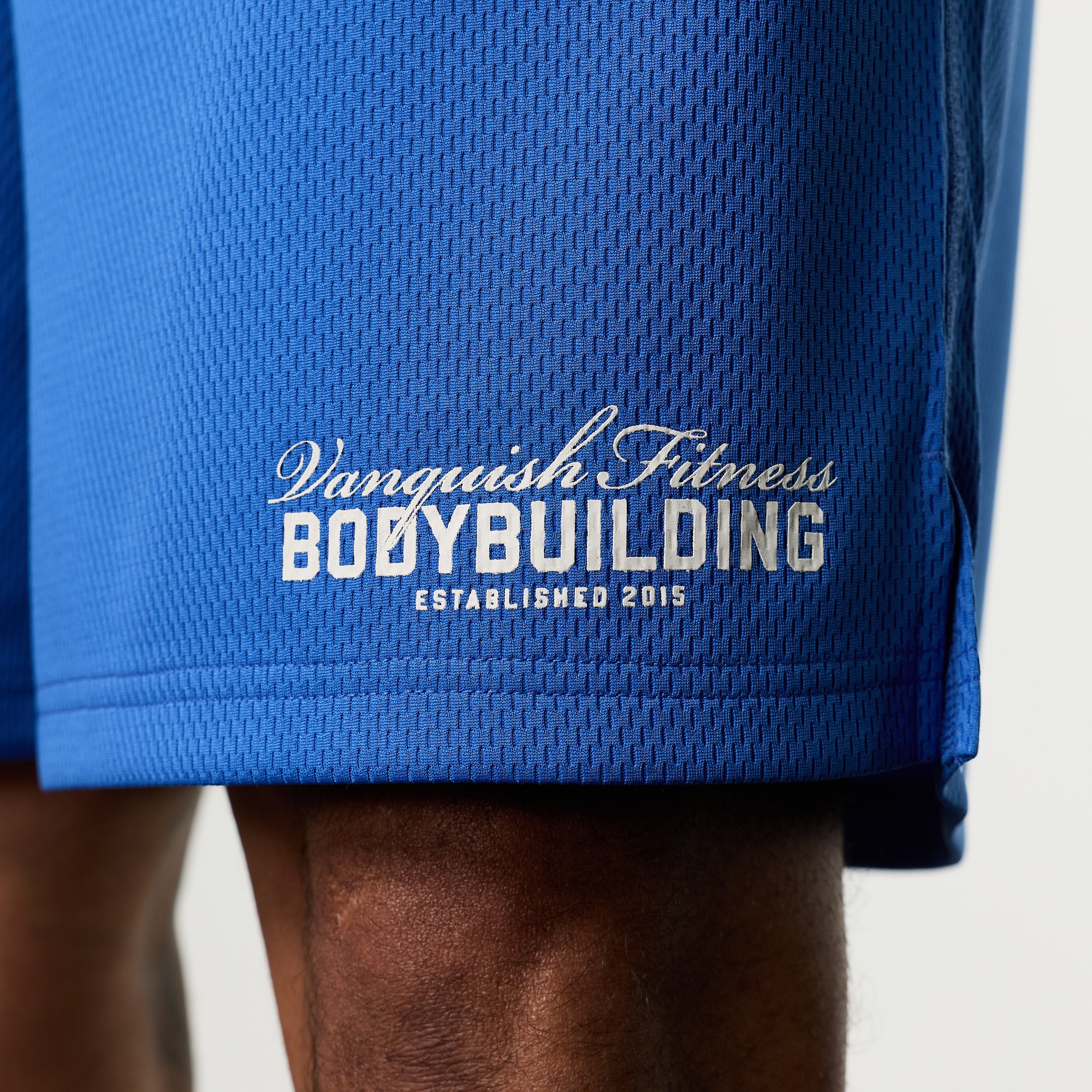 Vanquish Bodybuilding Cobalt Blue Mesh Shorts - Image 4